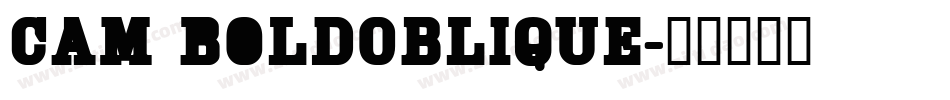 Cam BoldOblique字体转换